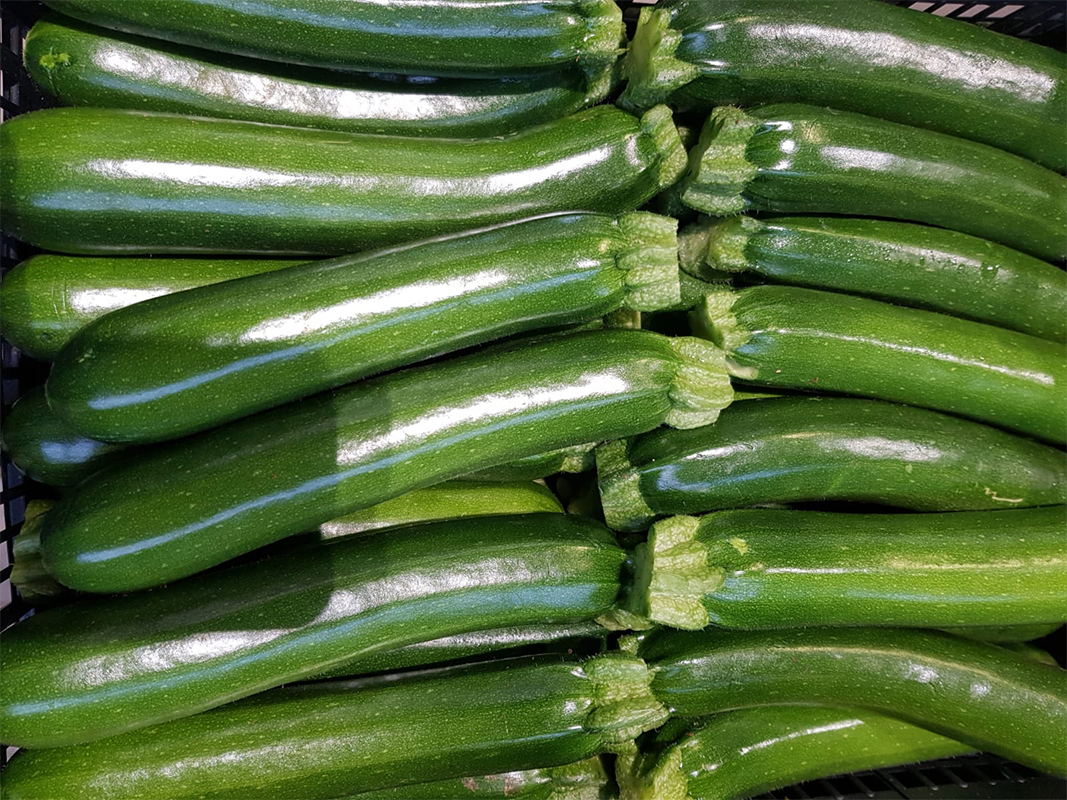 Zucchine locali - 1,00 euro al chilogrammo